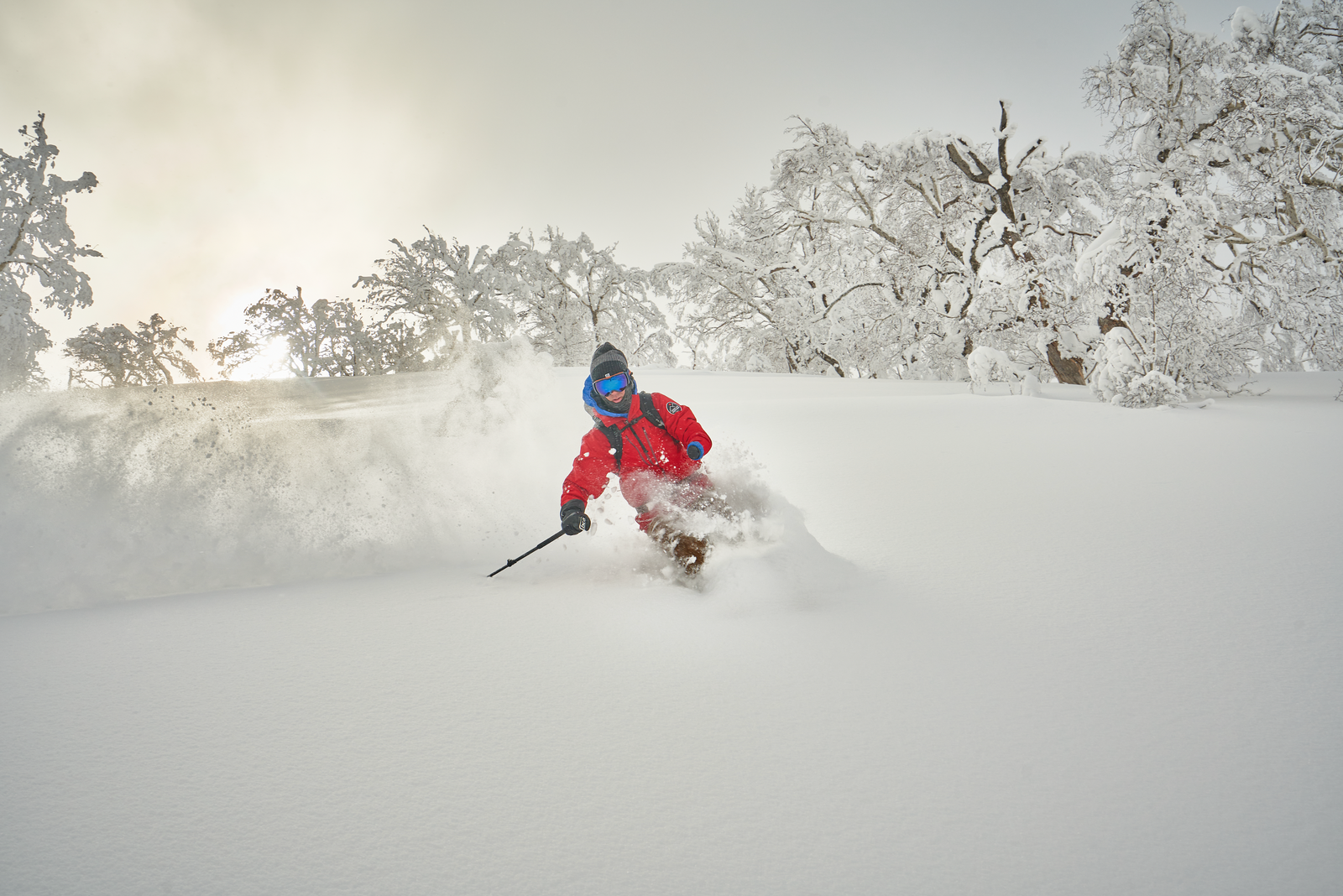 Will Carlton skiing